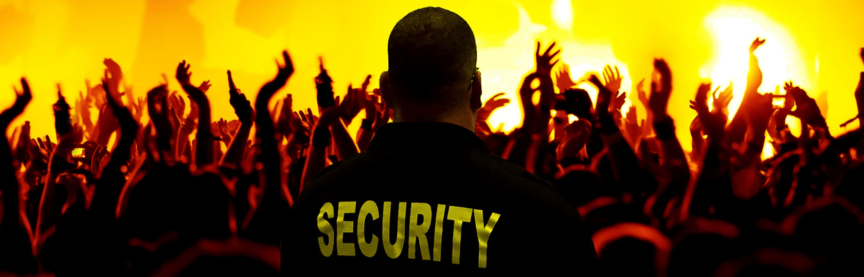 T&T SECURITY SERVICES AND PROJECTS